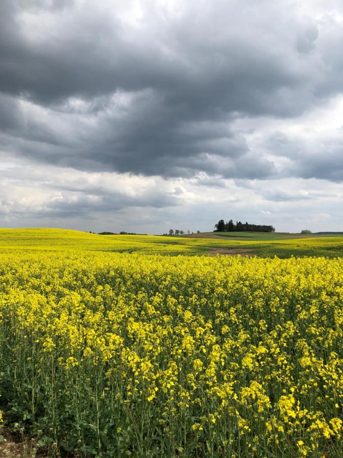 Wiejski W Domu Nad Jeziorem * Mikołajki